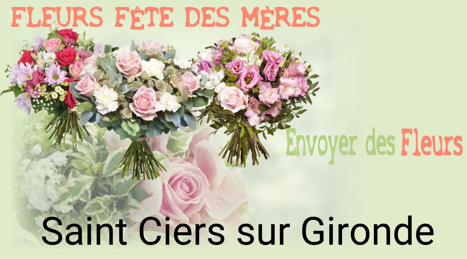 Bouquet de Fête des Mères livré à Saint-Ciers-sur-Gironde
